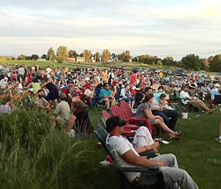 concertAudience_250