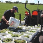 2012 Harvest