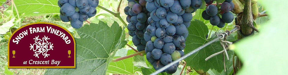 Snow Farm Vineyard