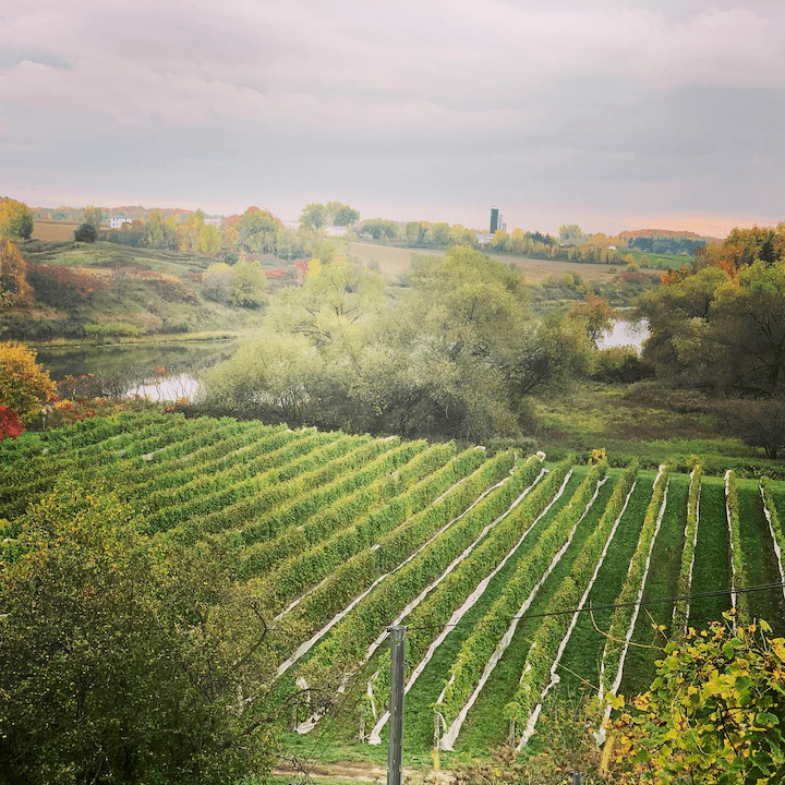 Champlain Islands Wine Trail - Snow Farm Vineyard & Winery